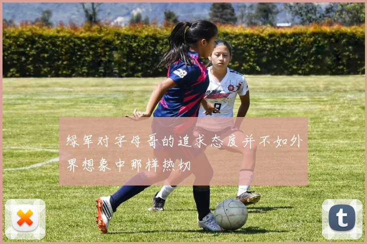 绿军对字母哥的追求态度并不如外界想象中那样热切