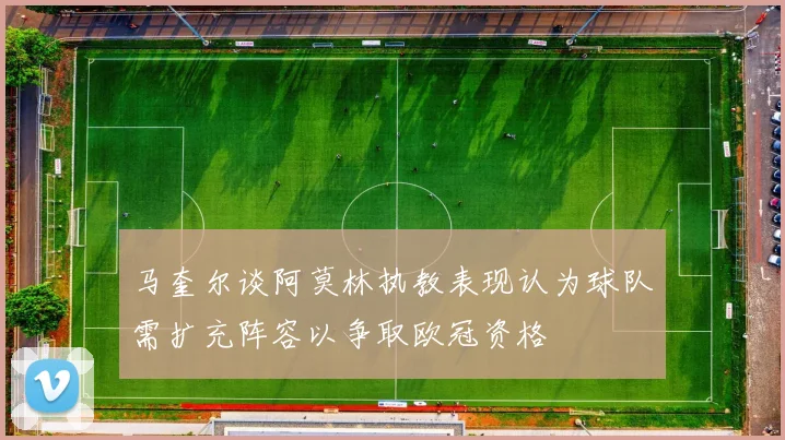 马奎尔谈阿莫林执教表现认为球队需扩充阵容以争取欧冠资格