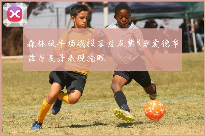 森林狼半场战报落后灰熊8分爱德华兹与麦丹表现抢眼