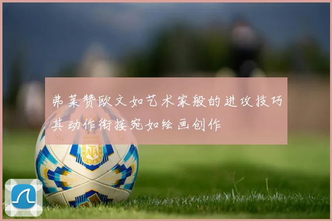 弗莱赞欧文如艺术家般的进攻技巧其动作衔接宛如绘画创作